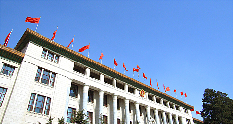 ������վ����������